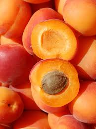 Абрикос “Цунамі” Абрикос "Цунамі", ранній сорт