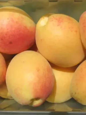 Ананасний Абрикос Ананасний Абрикос