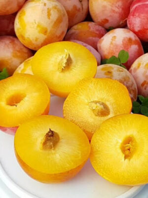 bajrongold-2-500x500-1.jpg Cлива Байран Голд диплоїдна, пізній термін дозрівання