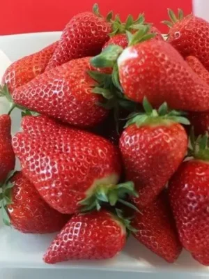 брілла Брілла 10шт надрання