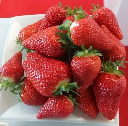 Брілла 10шт надрання