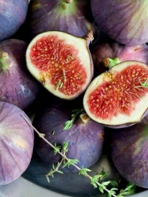 inzhir-kievskij_0.jpg Інжир "Київський великоплідний" Саджанці дворічні