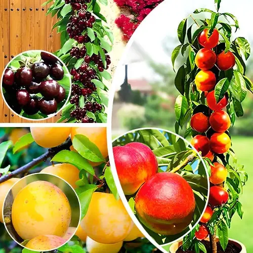 Вигідні набори