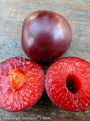 starking-delicious.jpg Слива "Стар Кінг" Делішес диплоїдна (саджанці дворічні)