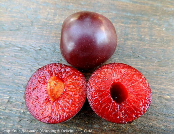 Слива "Стар Кінг" Делішес диплоїдна (саджанці дворічні)