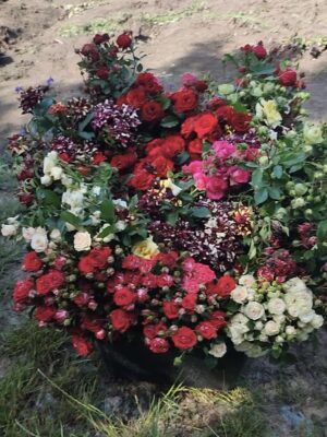 Набір троянд з 10 штук кущових різних сортів