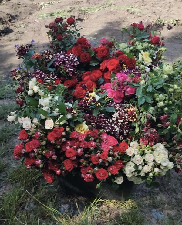 троянди 10 штук Набір троянд з 10 штук кущових різних сортів