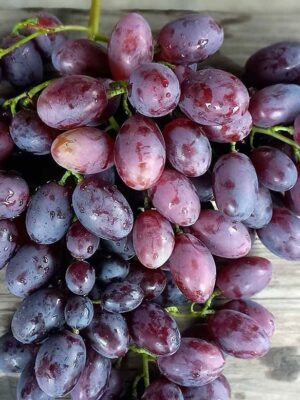 Виноград "Каталонія"