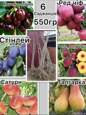 Набір плодових дерев  за 550 грн